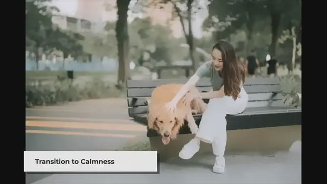 'Video thumbnail for Caring for Your Senior Dog: A Guide to Nurturing Their Golden Years'