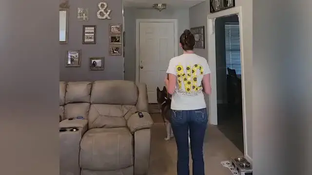 'Video thumbnail for Soldier Opens Door To Wife's Pregnancy Reveal After 6 Years Of Trying | Happily TV'