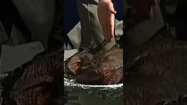 'Video thumbnail for NFL Legend John Madden on the Turducken Film Breakdown | Happy Thanksgiving'