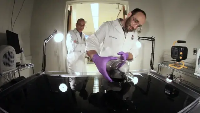 'Video thumbnail for Science Happens! | Episode 10 | Studying superbugs on a giant plate'