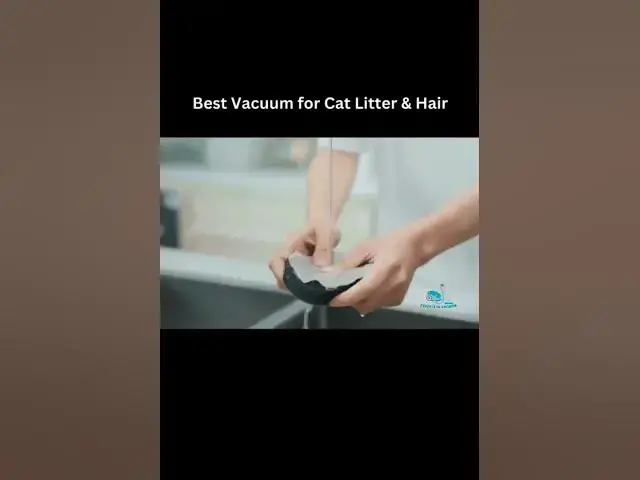 'Video thumbnail for Best Vacuum for Cat Litter and Hair #Short'