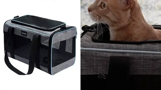 'Video thumbnail for First Look At This VCEOA Cat Carrier Review'