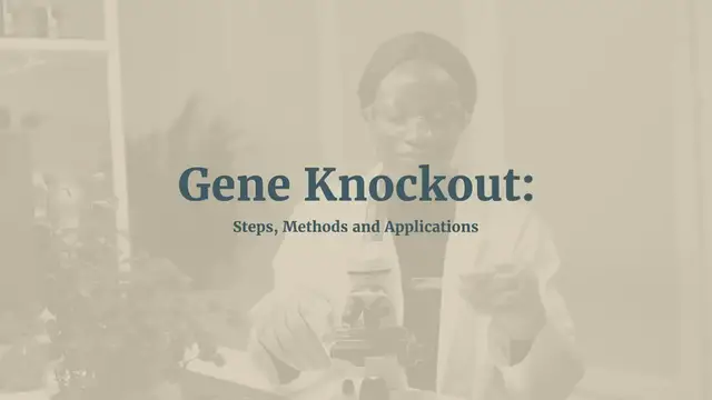 'Video thumbnail for Gene Knockout Decoded- Definition, Steps, Methods and Applications '