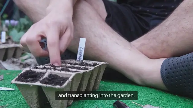 'Video thumbnail for Seed Starting Timelines and Planning'