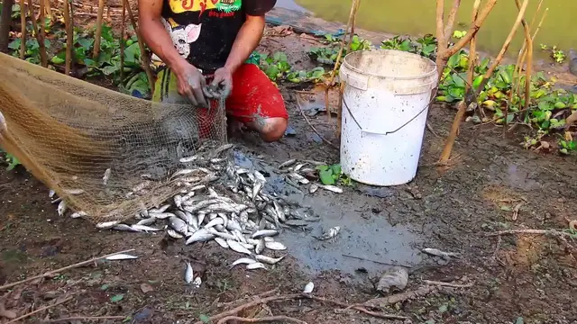 'Video thumbnail for Fish a lot man catch it'