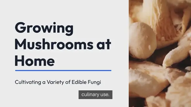 'Video thumbnail for Growing Mushrooms at Home'