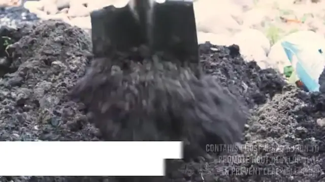 'Video thumbnail for How to Plant a Tree?'