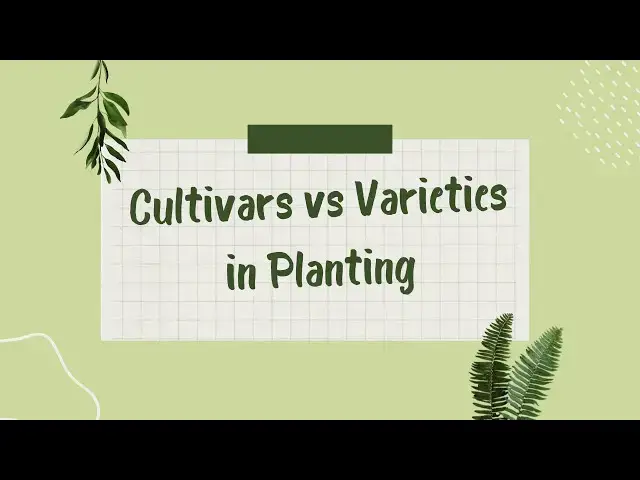 'Video thumbnail for Cultivars vs Varieties in Planting: Explained! #PlantCultivars #PlantVarieties'