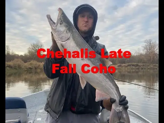 'Video thumbnail for Chehalis Late Fall Coho! Spinners, Jigs and some tips on trip planning for Salmon and Steelhead'