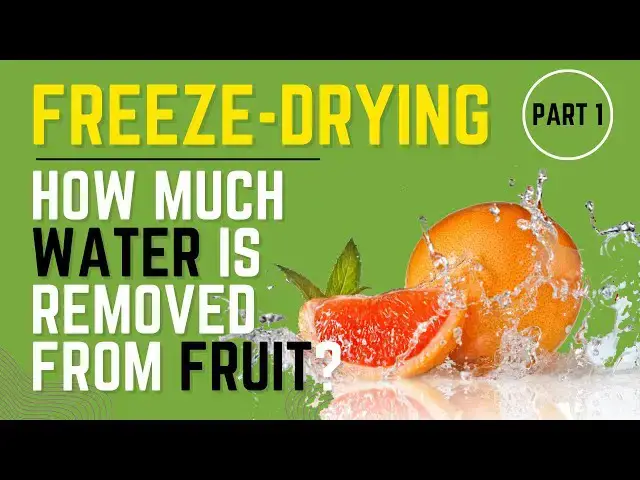 'Video thumbnail for How much WATER does Freeze-Drying remove from Fruit? Part 1 - Gross vs Net Weight | Prep & Tools'