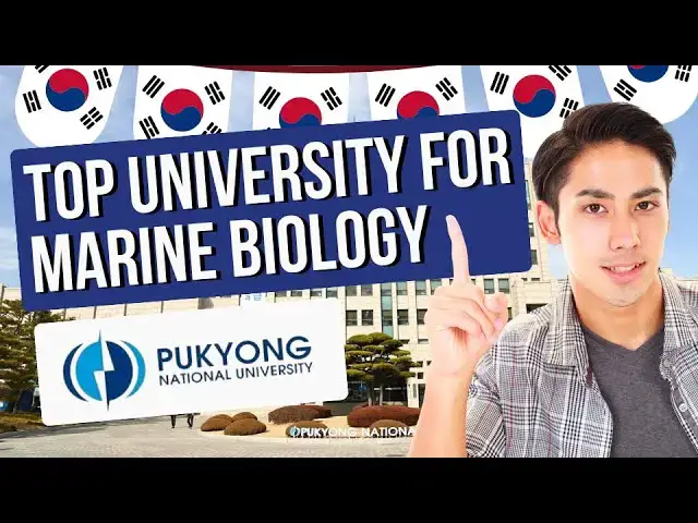 'Video thumbnail for Where to Study in Korea | How to Apply to Pukyong National University (Undergraduate)'