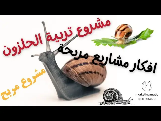 'Video thumbnail for استثمر في مشروع تربية الحلزون في الجزائر | تعرف على الافكار المربحة الآن!'