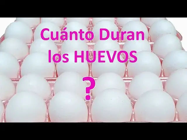 'Video thumbnail for Cuánto Duran los Huevos? - Caducidad de los Huevos'
