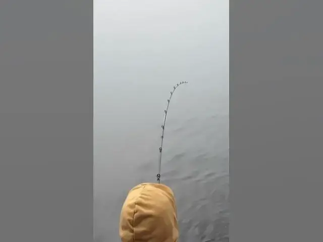 'Video thumbnail for We found the resident coho in Puget Sound, this one was a decent size! Details in members section.'