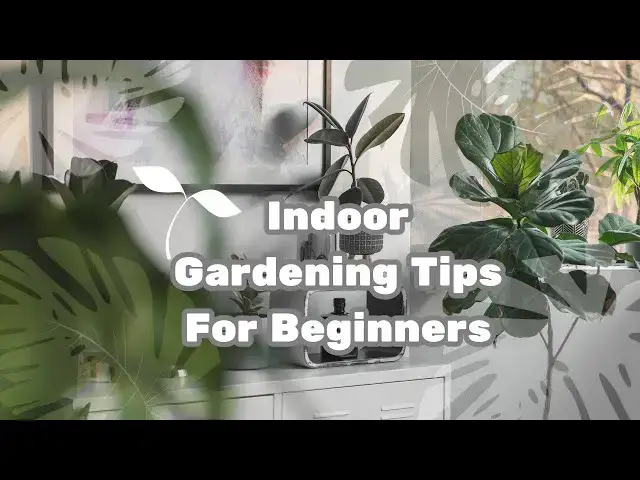 'Video thumbnail for Indoor Gardening Tips For Beginners #IndoorGardening #PlantCare #GardeningTips'
