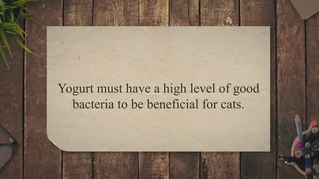 'Video thumbnail for Can Cats Eat Probiotic Yogurt? + 5 Best Probiotic Yogurt For Cats'