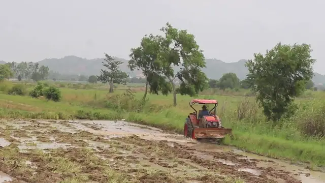 'Video thumbnail for The Famer drive tractor to plough soil in fiedl'
