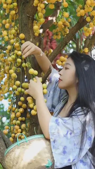 'Video thumbnail for Nothing more this beautiful garden '