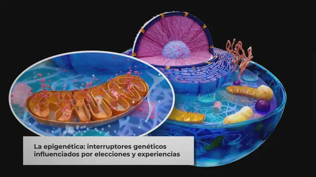 'Video thumbnail for EPIGENETICA DEL ALMA'