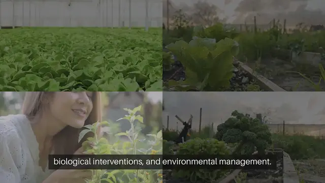 'Video thumbnail for Boosting Plant Immunity Against Diseases'