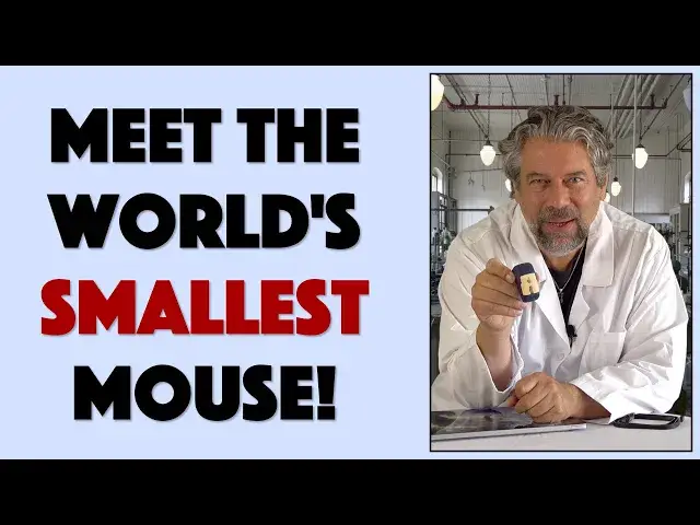 'Video thumbnail for Kakkoo Micro Bluetooth Mouse -- (KICKSTARTER) PREVIEW'