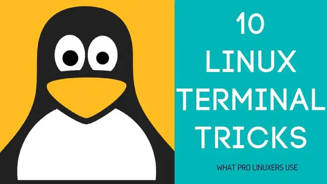'Video thumbnail for Linux Terminal Tricks: Use Linux Like a Pro With These Commands and Shortcuts'