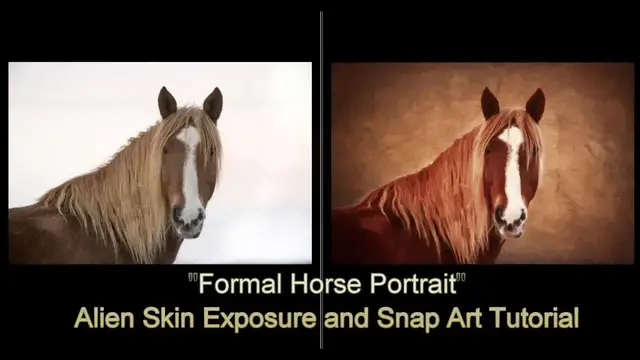 'Video thumbnail for "Formal Horse Portrait" - Alien Skin Software Tutorial'