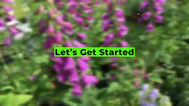 'Video thumbnail for 28 Best Partial Shade Perennials '