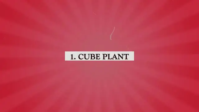 'Video thumbnail for 21 Unusual and Unique Shaped Succulents '