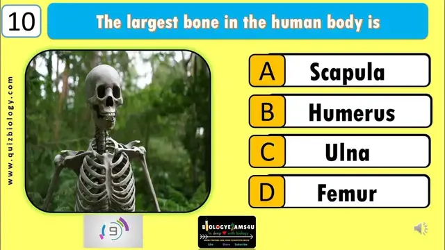 'Video thumbnail for "Test Your Human Body Knowledge! Human Body GK Quiz Challenge || How Many Can You Answer?"'