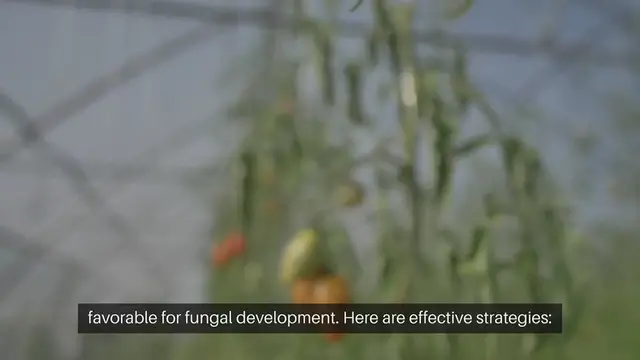 'Video thumbnail for Preventing Fungal Growth in Humid Climate'