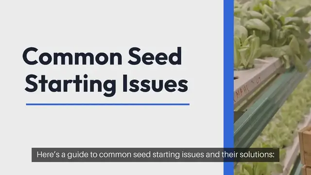 'Video thumbnail for Seed Starting Troubleshooting Guide'