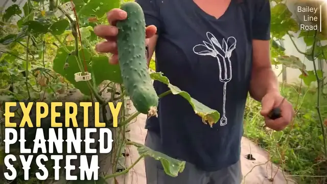 'Video thumbnail for Unbelievable! How This Canadian Farm Grows YEAR-ROUND!'