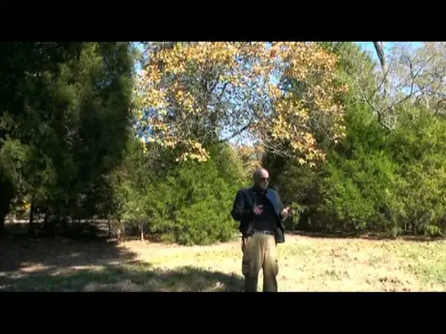'Video thumbnail for Roland Address to Militia 2008/11/15'