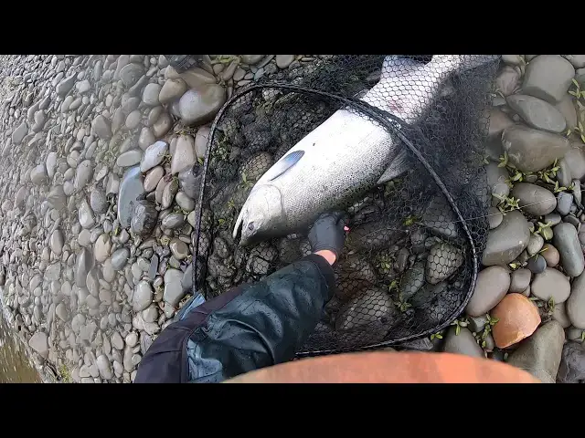 'Video thumbnail for Olympic Peninsula Salmon Fishing'