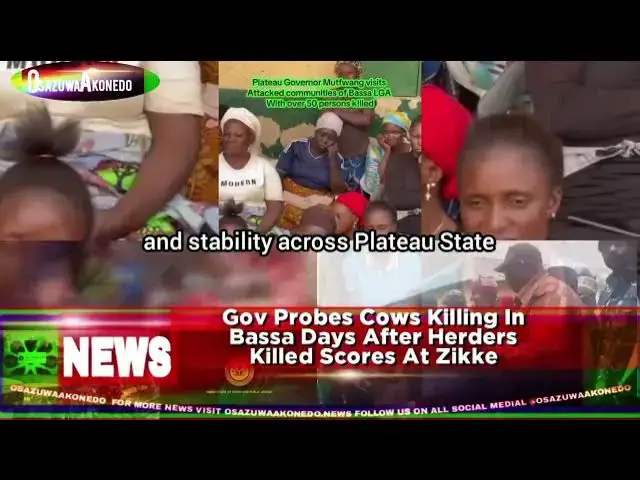 'Video thumbnail for Gov Probes Cows Killing In Bassa Days After Herders Killed Scores At Zikke'
