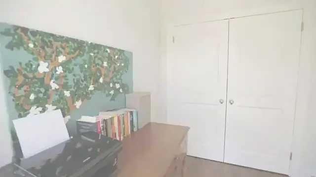 'Video thumbnail for Weekend Project Ceiling '