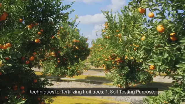 'Video thumbnail for Fruit Tree Fertilization Mastery'