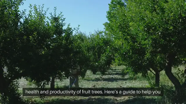 'Video thumbnail for Fruit Tree Watering Guide'