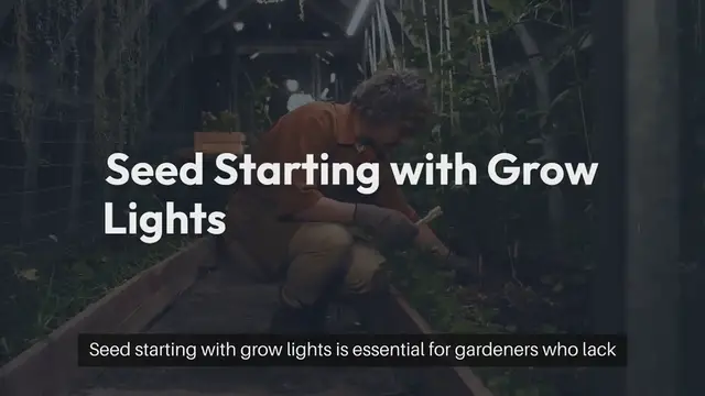 'Video thumbnail for Seed Starting with Grow Lights'