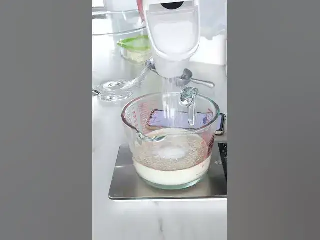 'Video thumbnail for Pão de "leite" na forma sem leite e sem ovo - vegan'