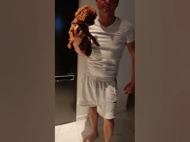 'Video thumbnail for 🐾 Adventures with Mia the Maltipoo! 🌟'