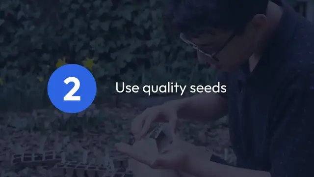 'Video thumbnail for How to Grow Coriander Fast'
