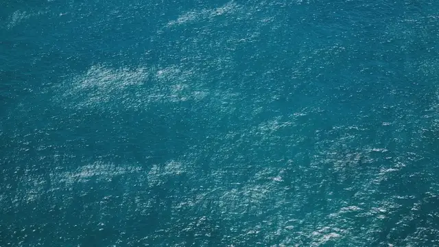'Video thumbnail for Navigating the Gulf Stream: Earth's Mighty Climate Regulator'