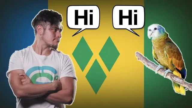 'Video thumbnail for Flag/ FanFriday ST. VINCENT AND THE GRENADINES (Geography Now!)'