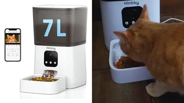 'Video thumbnail for Everything To Know About This Hinbby Automatic Feeder | Full Review'