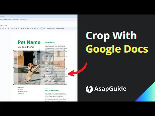 'Video thumbnail for How to Crop an Image in Google Docs'