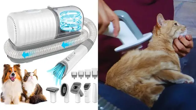 'Video thumbnail for Testing This 5 in 1 Pet Grooming Vacuum Kit By Jitum'