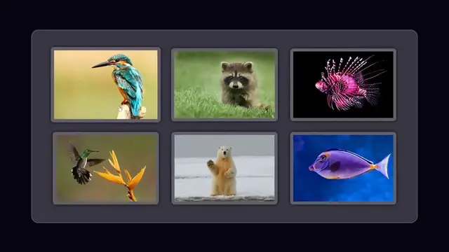 'Video thumbnail for Create Stunning Image Gallery with HTML, CSS & JavaScript'
