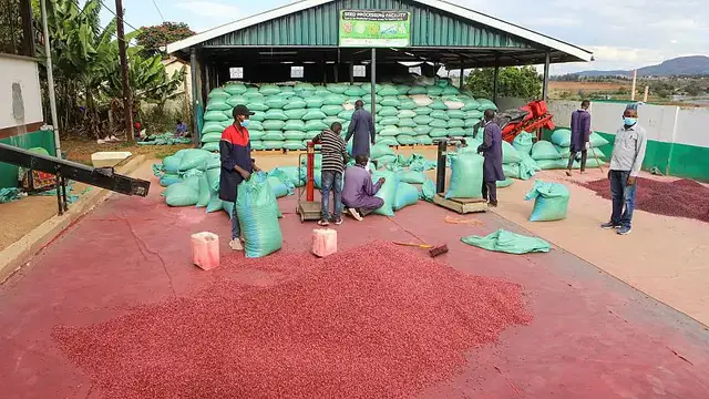 'Video thumbnail for Empowering youth in agriculture could boost global economy, FAO report says'